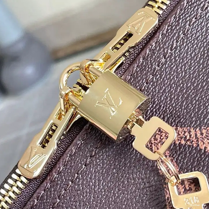 Brother Sam 2410YA0019 LV Bags 0813